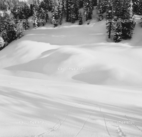 PFA-F-001553-0000 - Paesaggio innevato, Engadina, Canton dei Grigioni, Svizzera - Data dello scatto: 12/1990 - Archivi Alinari, Firenze