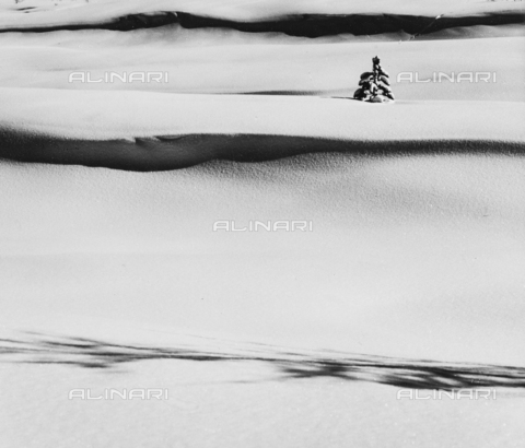 PFA-F-001562-0000 - Paesaggio innevato, Engadina, Canton dei Grigioni, Svizzera - Data dello scatto: 12/1992 - Archivi Alinari, Firenze