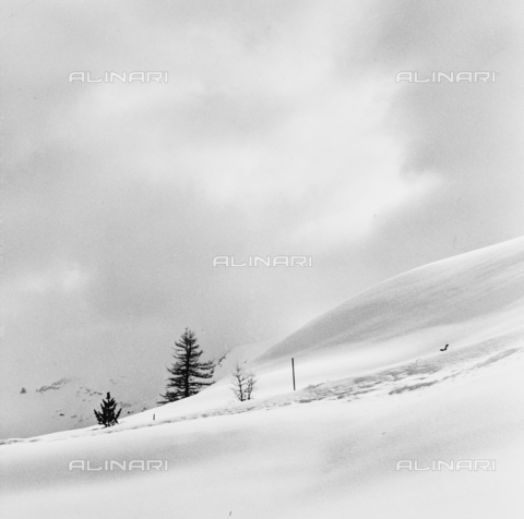 PFA-F-001564-0000 - Paesaggio innevato, Engadina, Canton dei Grigioni, Svizzera - Data dello scatto: 12/1992 - Archivi Alinari, Firenze