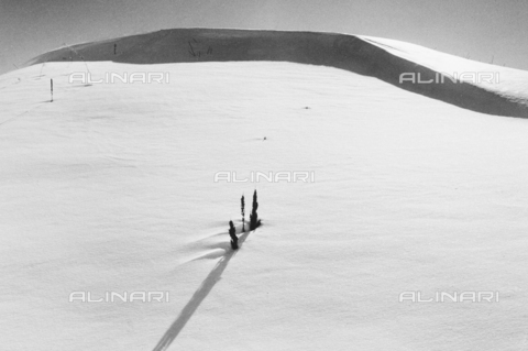 PFA-F-001567-0000 - Montagna innevata di Celerina, Engadina, Canton dei Grigioni, Svizzera - Data dello scatto: 03/1995 - Archivi Alinari, Firenze