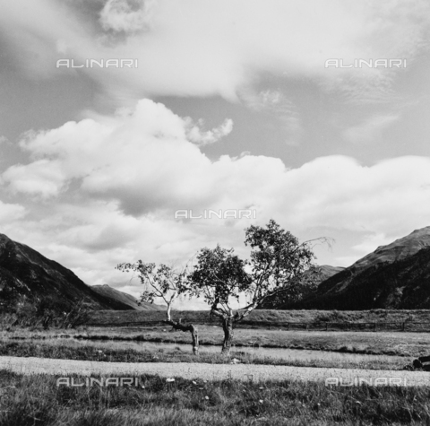 PFA-F-001569-0000 - Valle, Engadina, Canton dei Grigioni, Svizzera - Data dello scatto: 08/1992 - Archivi Alinari, Firenze