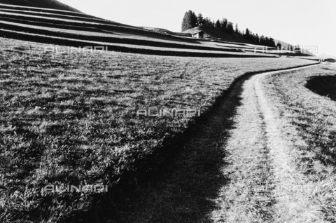 PFA-F-001589-0000 - Paesaggio dell' Engadina, Canton dei Grigioni, Svizzera - Data dello scatto: 08/1991 - Archivi Alinari, Firenze