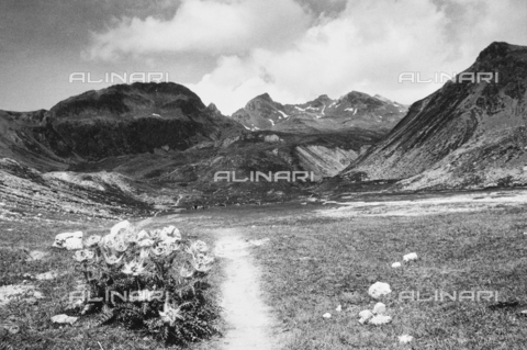 PFA-F-001591-0000 - Paesaggio montano, Engadina, Canton dei Grigioni, Svizzera - Data dello scatto: 08/1992 - Archivi Alinari, Firenze