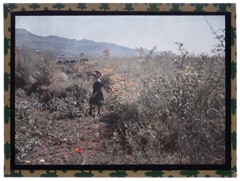 RGD-F-001866-0000 - Ritratto di bambina (Germana Bronzini?) in un campo di fiori - Data dello scatto: 1905-1910 ca. - Archivi Alinari, Firenze