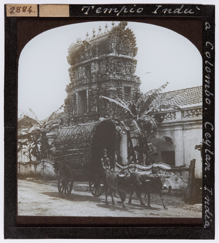 RGD-S-VARIE2-2884 - Cart with oxen in front of a Hindu temple in Colombo, Ceylon Island (Sri Lanka) - Date of photography: 1897-1898 ca. - Alinari Archives, Florence