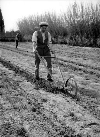 RVA-S-000348-0012 - Un contadino prepara il terreno per la coltivazione dei meloni vicino a Rognonas in Costa Azzurra - Data dello scatto: 1930 - Jacques Boyer / Roger-Viollet/Alinari