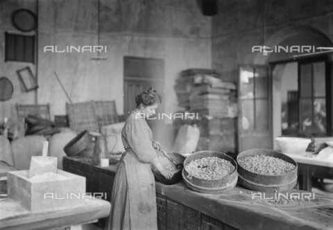 RVA-S-005678-0007 - Preparazione del profumo in un laboratorio di Nizza: una donna versa un siero sui petali di viola - Data dello scatto: 1910 - Jacques Boyer / Roger-Viollet/Alinari