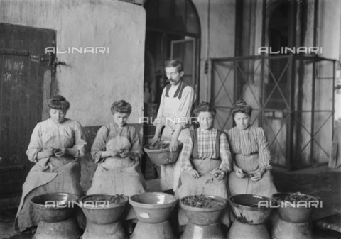 RVA-S-005678-0013 - Preparazione dei canditi a Nizza: gruppo di donne sbucciano le arance - Data dello scatto: 1909 - Jacques Boyer / Roger-Viollet/Alinari