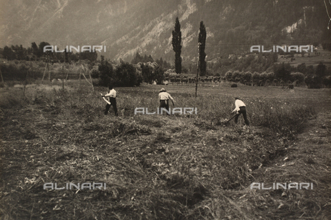 TCB-F-002892-0000 - Farmers in the fields of Gressoney - Date of photography: 1930 ca. - Touring Club Italiano/Alinari Archives Management