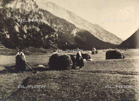 TCB-F-002893-0000 - Haying in Cogne - Date of photography: 1930 ca. - Touring Club Italiano/Alinari Archives Management