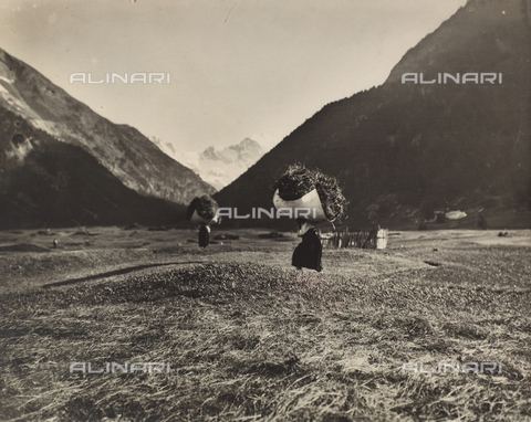 TCB-S-002893-0001 - Haying in Cogne - Date of photography: 1930 ca. - Touring Club Italiano/Alinari Archives Management