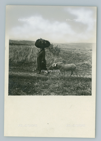 TCI-F-I12419-0000 - europe, republic of San Marino, peasant on the way back, 1949 - Touring Club Italiano/Alinari Archives Management