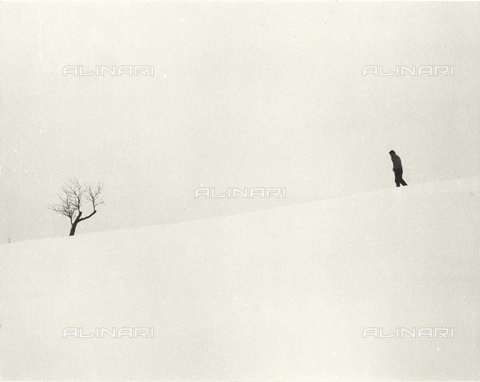 VAA-F-000947-0000 - Tree in the snow - Date of photography: 1950-1955 ca. - Alinari Archives, Florence