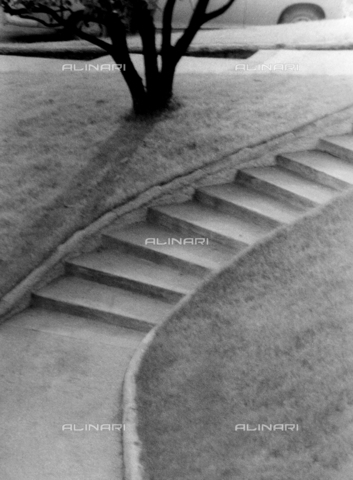 VZA-F-000471-0000 - Composition near the Hotel Metropole in Monte Carlo.  Garden stairway - Date of photography: 1968 ca. - Alinari Archives, Florence