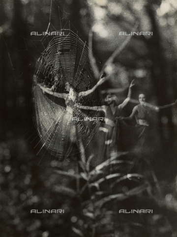 VZA-F-000475-0000 - "Fantasia boschiva." Superimposition of two images showing a spider's web and a dancer - Date of photography: 1950 - 1955 - Alinari Archives, Florence