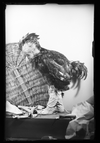 WMA-V-006990-0000 - Child dressed as a cockerel - Date of photography: 1968 ca. - Alinari Archives, Florence
