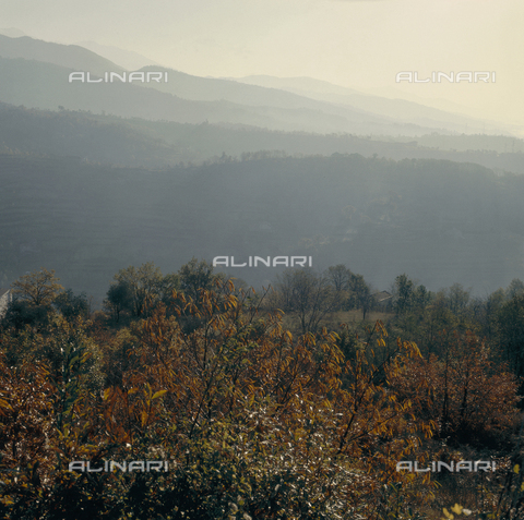 ZCA-S-000011-0000 - Campagna vicino a Pontremoli - Data dello scatto: 1990 ca. - Archivi Alinari, Firenze